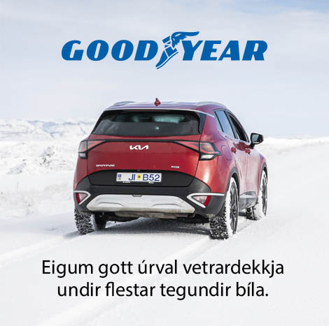 Þínir menn í dekkjum